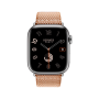 Apple Watch 11 46 Hermes, титан, серо-коричневый ремешок Toile H Single Tour Gold/Ecru