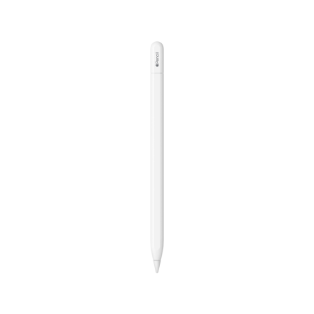 Apple ручка электронная Pencil (USB-C) MUWA3ZM/A
