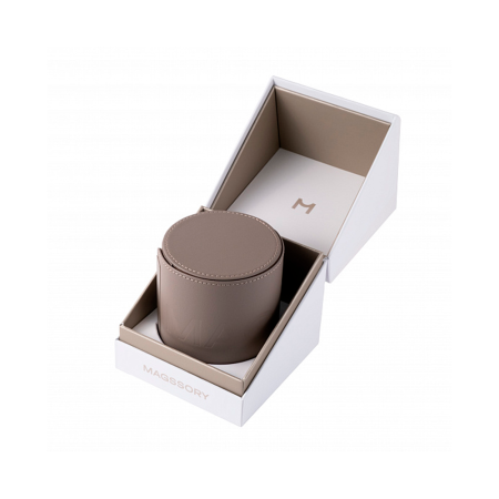 Magssory БЗУ Disc Signature Edition 3 в 1 (бежевый) WCH033t