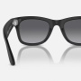 Ray-Ban экшн камера-очки Wayfarer M (Матовая черная оправа/Polar Gradient Graphite) (черн) 601ST350